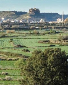 Monzón, desde los terrenos en los que Solmasol prevé ubicar la planta incineradora de biomasa.