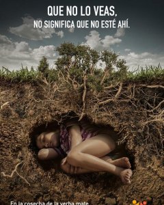 Cartel de la campaña contra la explotación infantil en los campos de mate