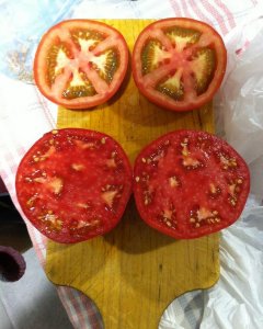 Arriba, un tomate convencional; abajo, uno de los tomates de la Vega cultivados por Huertos Vega de Tajuña.