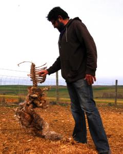 El ganadero Fernando Pastor sostiene los restos de una oveja muerta en Armuña, Segovia. LUCÍA VILLA