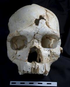 El cráneo prehistórico hallado. REUTERS