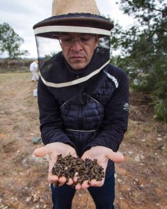 Luís Ferreirim, de Greenpeace, con un puñado de abejas muertas. GREENPEACE