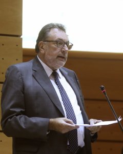 El líder del PDeCAT en el Senado, Josep Lluís Cleries, interviene en la sesión de control al Ejecutivo, celebrada en el pleno del Senado. EFE/Kiko Huesca