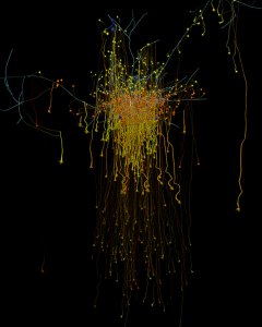 Neurona piramidal de la capa 4 rodeada por otras neuronas, coloreadas según su tipo, a las que transmite información.- EPFL/BLUE BRAIN