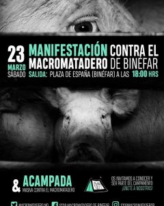 Hace ahora diez días, animalistas y veganos organizaron una concentración contra el matadero en la población, a la que siguió una acampada