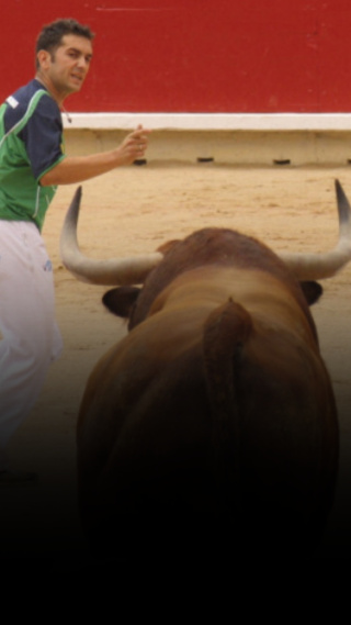 Así es el NEGOCIO taurino en ESPAÑA: un DESCENSO estructural en las ÚLTIMAS dos décadas