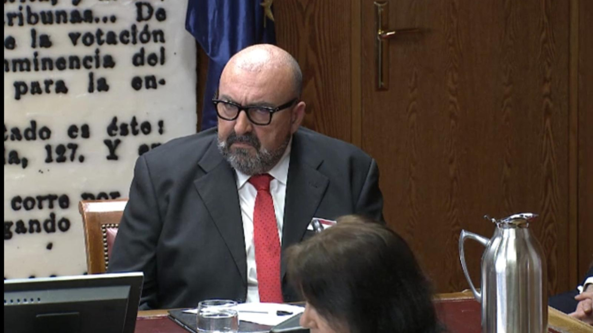 Koldo García, en la comisión del Senado: "No puedo andar por la calle,  mediáticamente estoy muerto" | Público