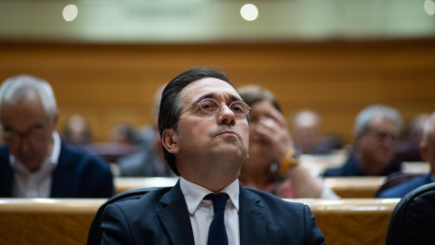 El ministro de Asuntos Exteriores, Unión Europea y Cooperación de España, José Manuel Albares, durante una sesión de control al Gobierno, en el Senado, a 25 de marzo.