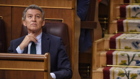 Alberto Núñez Feijóo, durante una sesión de control al Gobierno, en el Congreso de los Diputados.