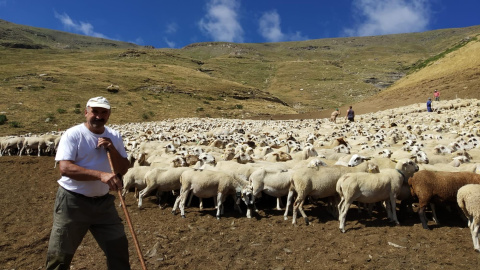 Xavier Ribera, president de la FECOC, amb el seu ramat