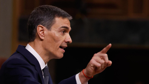 El presidente del Gobierno, Pedro Sánchez, interviene durante el pleno en el que ha comparecido para hablar sobre la crisis ferroviaria tras los accidentes de Adamuz (Córdoba) y Barcelona, y sobre la agenda internacional El presidente del Gobierno, Pedro Sánchez, interviene durante el pleno en el que ha comparecido para hablar sobre la crisis ferroviaria tras los accidentes de Adamuz (Córdoba) y Barcelona, y sobre la agenda internacional