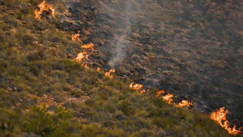 Vista de uno de los focos del incendio forestal declarado en Los Gallardos, Almería,