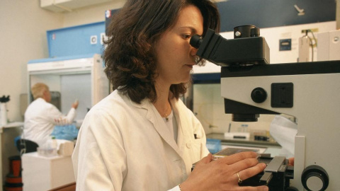 Una mujer investiga en un laboratorio (Archivo). Una mujer investiga en un laboratorio (Archivo).