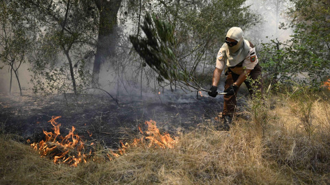 Efectivos de bomberos trabajan en Betxí (Castelló) Efectivos de bomberos trabajan en Betxí (Castelló), uno de los municipios afectados por el incendio declarado el pasado sábado en la Vall d'Uixó.