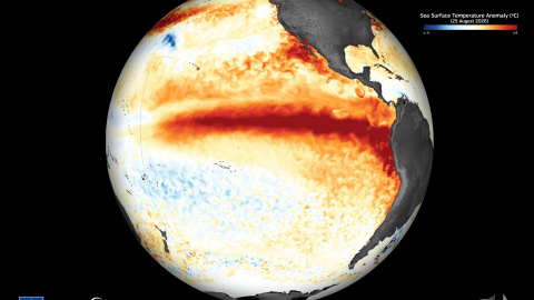 Una franja distintiva de agua más cálida se extiende a lo largo del Pacífico ecuatorial central y oriental, lo que ilustra el patrón de calentamiento de El Niño en curso.