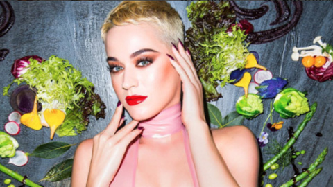 Katy Perry excluye a España de su gira europea Katy Perry excluye a España de su gira europea
