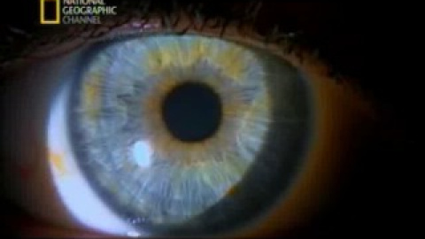 La increíble máquina humana La increíble máquina humana