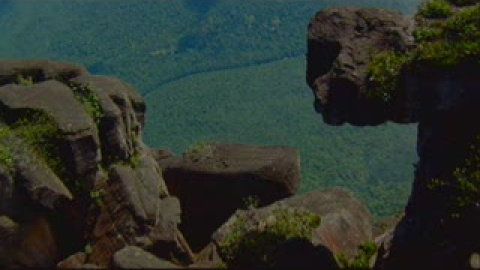 Se estrena el espectacular documental 'Tierra' Se estrena el espectacular documental 'Tierra'