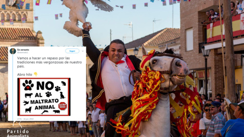 tremending-maltrato-animalcopia