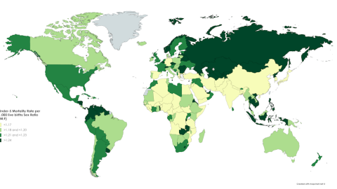 La tasa de mortalidad por sexo en menores de cinco años por cada 1.000 nacimientos, elaborada a partir de los datos de UNICEF de 2015. Author provided (No reuse)
La tasa de mortalidad por sexo en menores de cinco años por cada 1.000 nacimientos, elaborada a partir de los datos de UNICEF de 2015. Author provided (No reuse)
