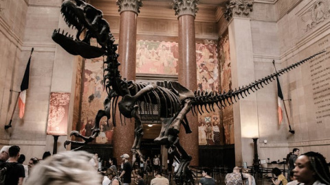 Unsplash, CC BY
Unsplash, CC BY