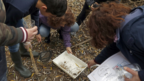Aula de educación ambiental en Torres Novas (Portugal). EFE/J.J. Guillén Aula de educación ambiental en Torres Novas (Portugal). EFE/J.J. Guillén