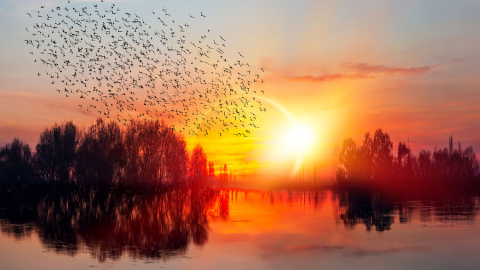 Shutterstock/muratart Shutterstock/muratart