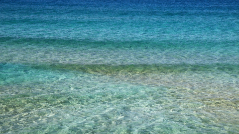 Pixabay. Pixabay.