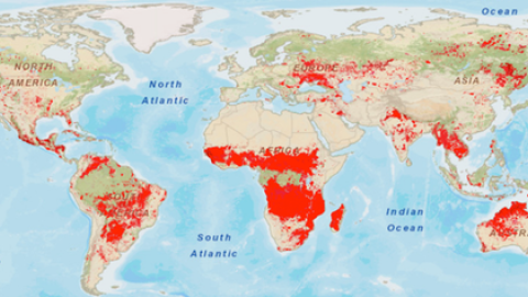 Área quemada en el mundo durante 2018 según el satélite MODIS de la NASA. El 70 % de los incendios se dan en la sabana africana, rodeando al bosque tropical de la cuenca del Congo. Sistema EOS (LANCE) del Sistema de Información y Datos de Ciencias de Área quemada en el mundo durante 2018 según el satélite MODIS de la NASA. El 70 % de los incendios se dan en la sabana africana, rodeando al bosque tropical de la cuenca del Congo. Sistema EOS (LANCE) del Sistema de Información y Datos de Ciencias de