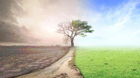 Mercantilización financiera y crisis climática Mercantilización financiera y crisis climática