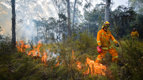 Los bomberos luchan contra el fuego en Victoria (Australia) este miércoles. Jason Edwards/REUTERS Los bomberos luchan contra el fuego en Victoria (Australia) este miércoles. Jason Edwards/REUTERS