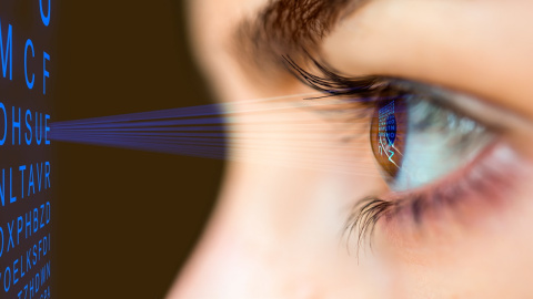 Muratart / Shutterstock Muratart / Shutterstock