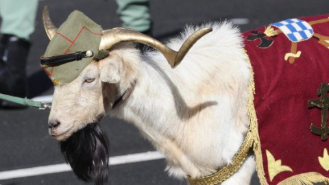 Una de las cabras que han desfilado con la Legión el 12-O por el Paseo de la Castellana de Madrid.- EFE Una de las cabras que han desfilado con la Legión el 12-O por el Paseo de la Castellana de Madrid.- EFE
