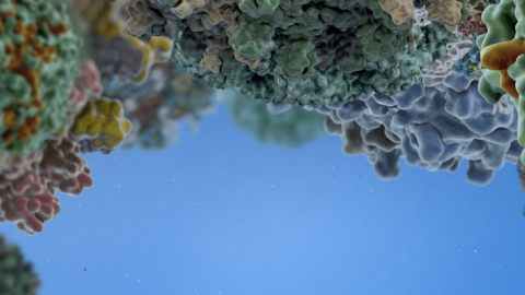 Captura de pantalla 2020-11-06 a las 16.08.16