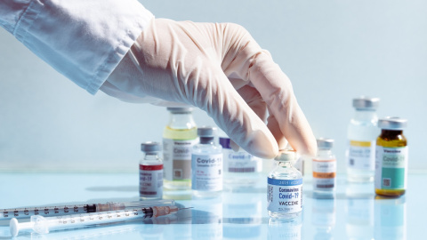 Shutterstock / myboys.me Shutterstock / myboys.me