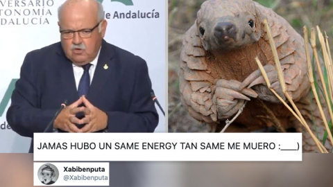 consejero