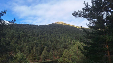 Paisaje de Casa de Campo.- Noelia Adánez Paisaje de Casa de Campo.- Noelia Adánez