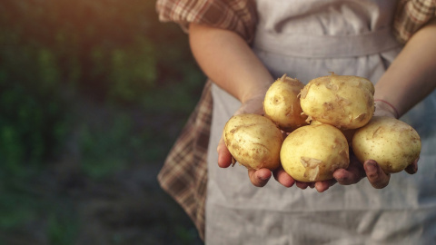 Shutterstock / Jukov studio Shutterstock / Jukov studio