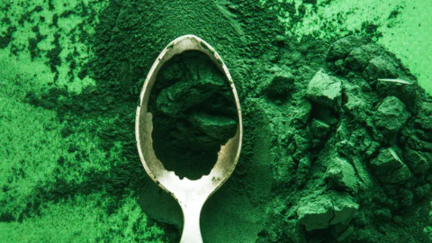 Shutterstock / maramorosz Cuchara con espirulina
