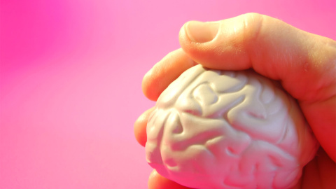 PososAnarquia_Cerebro