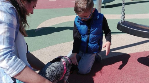 pososanarquia_patasarriba