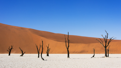 'Ruinas del tiempo'. Foto: Tim Snell / CC BY-ND 2.0 'Reuinas del tiempo'. Foto: Tim Snell / CC BY-ND 2.0