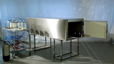 PososAnarquia_MuerteFamosos_2