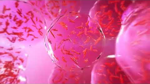 BIOLIFE4D - See Bioprinting In Action BIOLIFE4D - See Bioprinting In Action