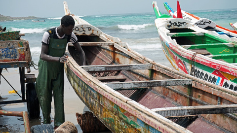 En los meses de recolección sobran mangos y se pierden. Boubacar Camara, líder de la oposición, plantea el programa “Construir el futuro“, como generar una economía inclusiva con la transformación de alimentos. Foto: Mar Joaniquet En los meses de recolección sobran mangos y se pierden. Boubacar Camara, líder de la oposición, plantea el programa “Construir el futuro“, como generar una economía inclusiva con la transformación de alimentos. Foto: Mar Joaniquet
