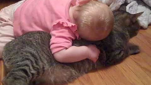 The most patient and docile cat ever!