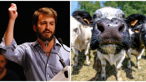 A la izquierda una imagen de Europa Press del vicepresidente de Castilla y León, Juan García-Gallardo (EUROPA PRESS). A la derecha Vista de un grupo de vacas en una granja (EFE) A la izquierda una imagen de Europa Press del vicepresidente de Castilla y León, Juan García-Gallardo (EUROPA PRESS). A la derecha Vista de un grupo de vacas en una granja (EFE)