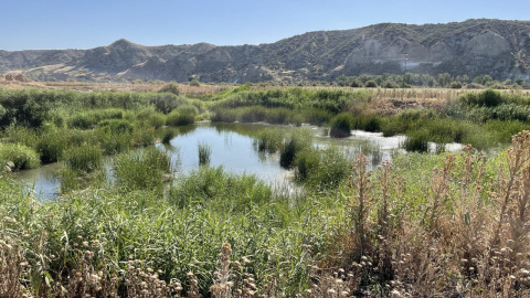 Imagen de las lagunas de Soto Gutiérrez, que estaban protegidas y han sido desecadas. CEDIDA Imagen de las lagunas de Soto Gutiérrez, que estaban protegidas y han sido desecadas. CEDIDA