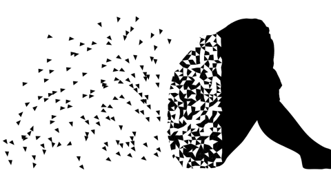 Imagen de Gordon Johnson en Pixabay Imagen de Gordon Johnson en Pixabay