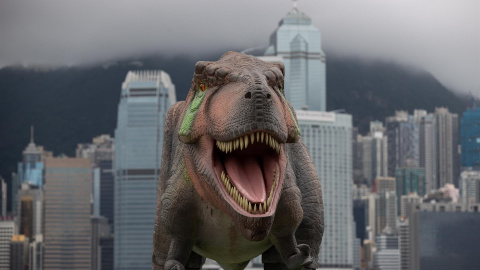 Un Tyrannosaurus Rex robótico se encuentra frente al horizonte de la isla de Hong Kong en Hong Kong, China, el 6 de junio de 2022.- EFE Un Tyrannosaurus Rex robótico se encuentra frente al horizonte de la isla de Hong Kong en Hong Kong, China, el 6 de junio de 2022.- EFE